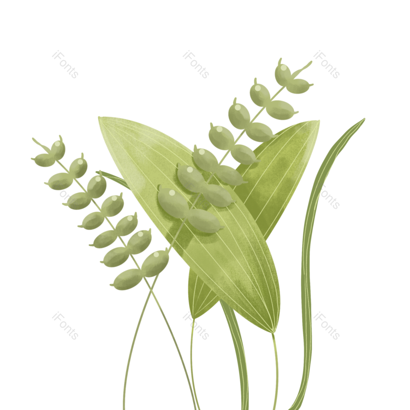 芒种图片,小满元素,秋天PNG,麦子免抠素材